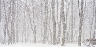 A Lesson From My Father on a Snowy Day