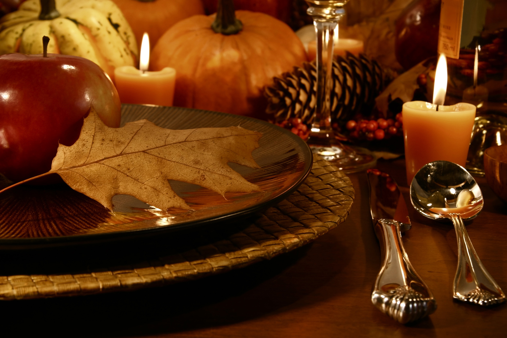 Megan’s Thoughts this Thanksgiving